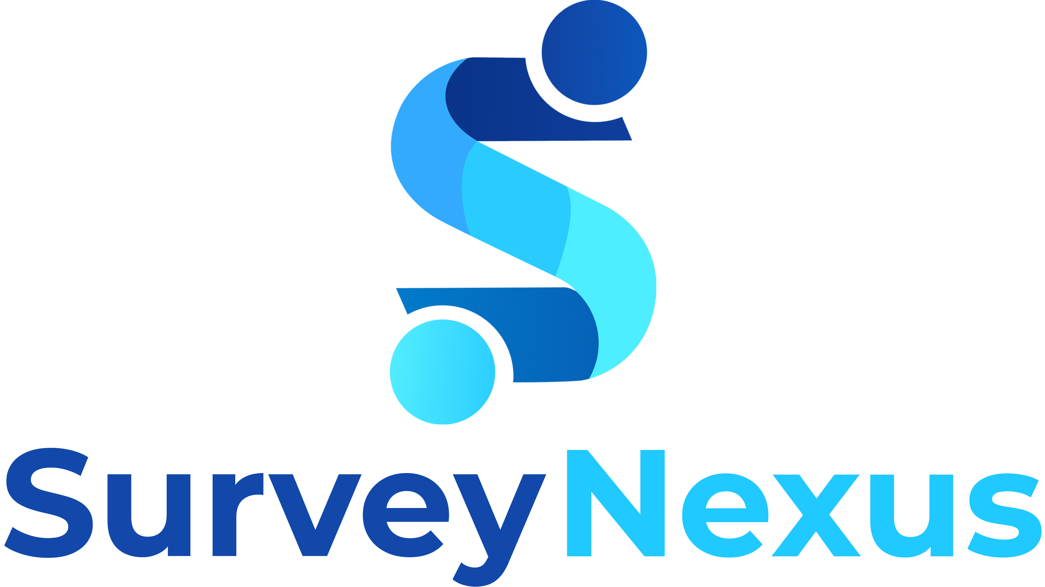 SurveyNexus